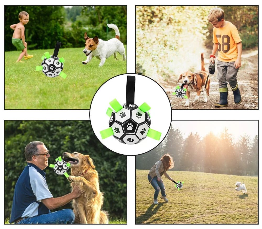 Enfants avec ballon Chien - SportDog™ - Le Palais Canin