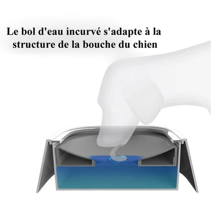 Gamelle ajusté pour l'eau (BowlDog™) Palais Canin
