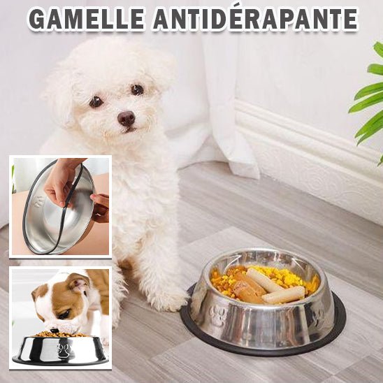 Gamelle antidérapante (NoPushDog™) Palais Canin