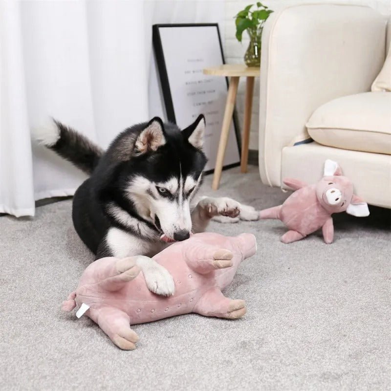 Grand chien avec deux peluche cochon (PrettyPig™) Palais Canin