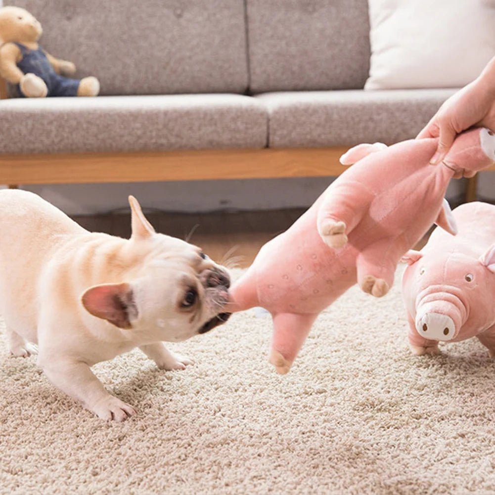 Peluche Cochonou : Le Jouet Anti - Stress Ultime pour Votre Chien - Palaiscanin