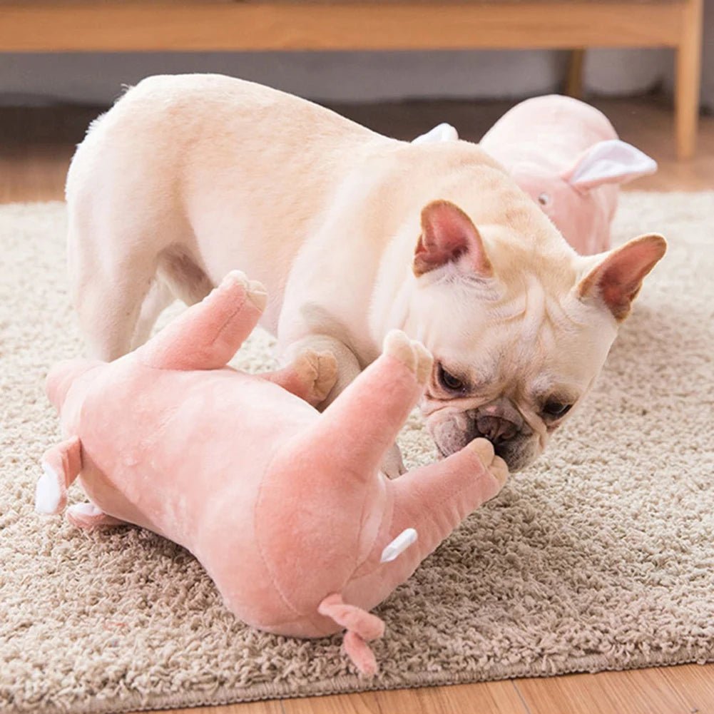 Peluche Cochonou : Le Jouet Anti - Stress Ultime pour Votre Chien - Palaiscanin