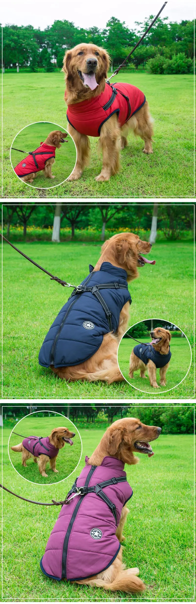 Harnais manteau - Coatharness : La Solution Ultime pour Protéger votre Chien du Froid - Palaiscanin