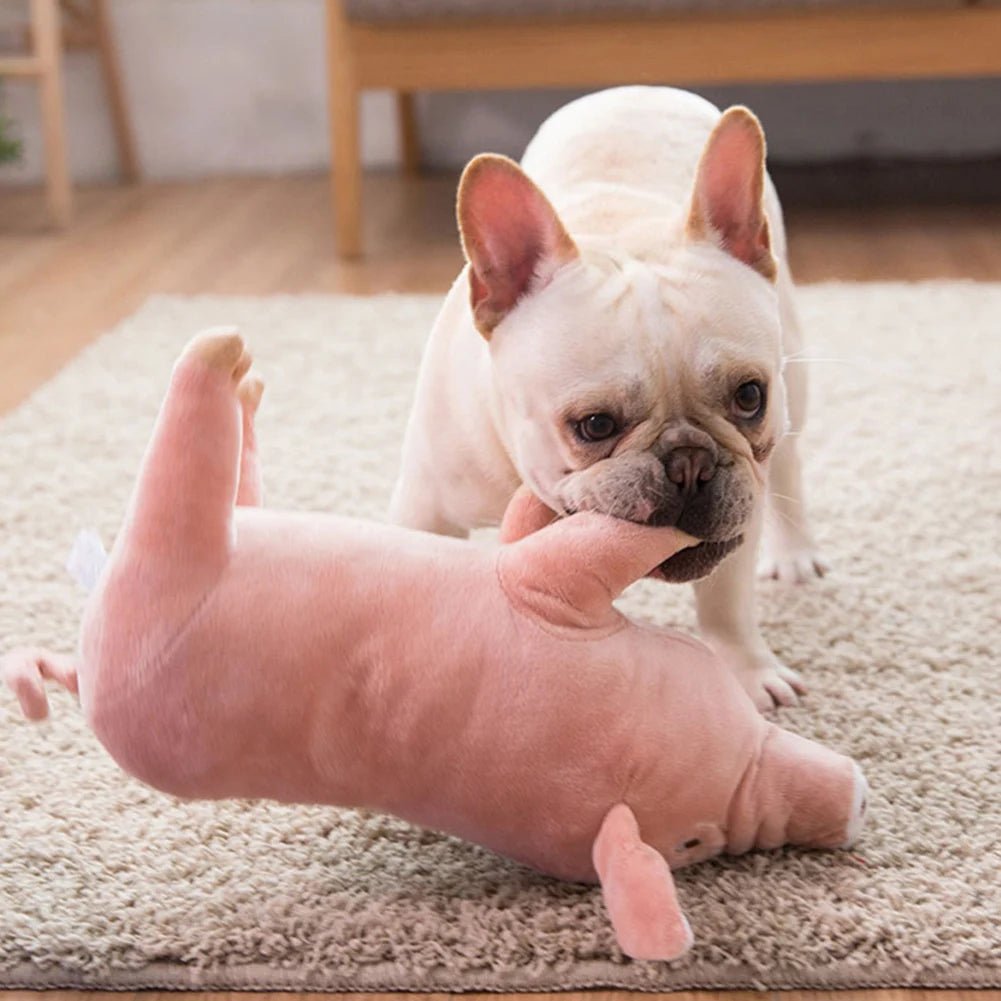 Peluche Cochonou : Le Jouet Anti - Stress Ultime pour Votre Chien - Palaiscanin