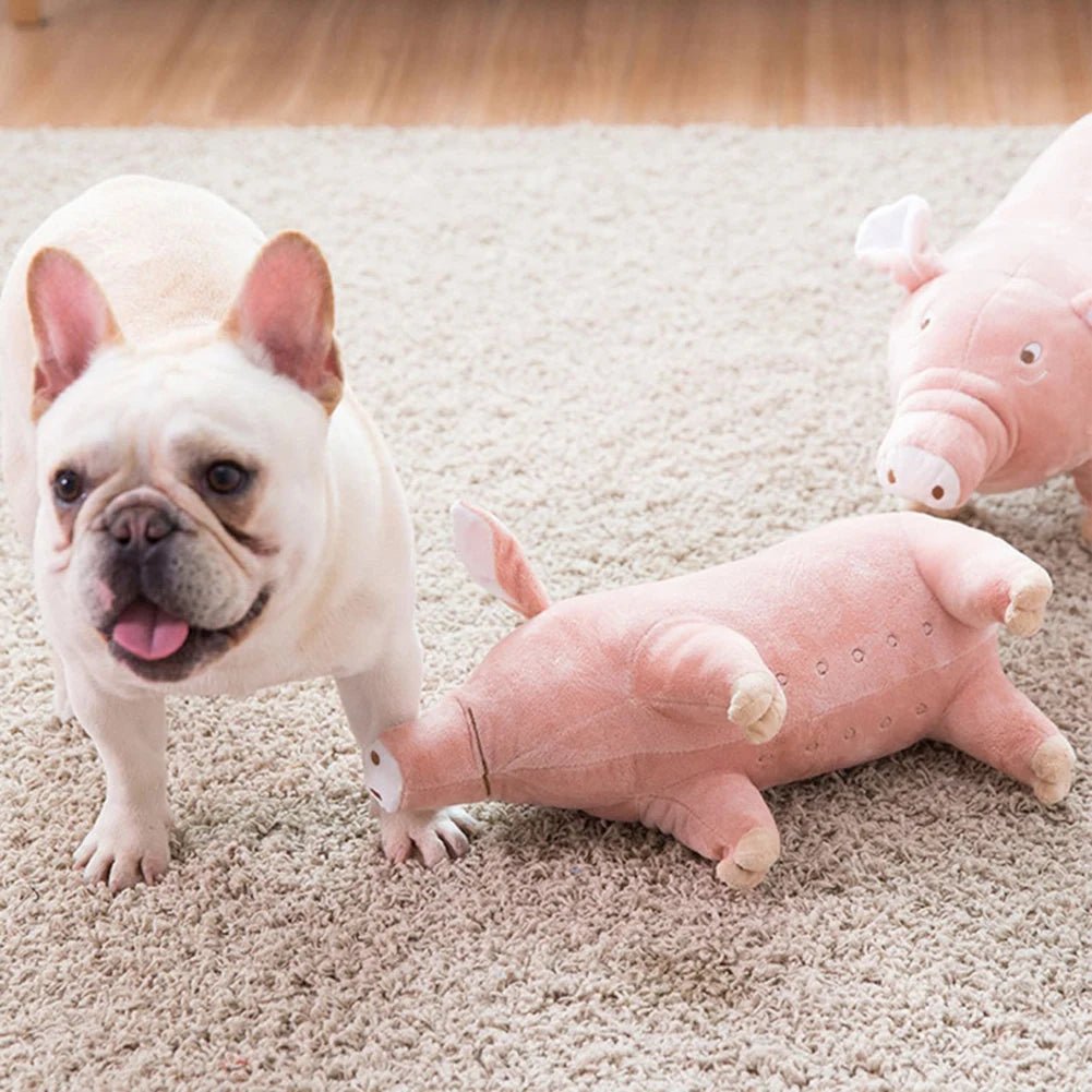 Peluche Cochonou : Le Jouet Anti - Stress Ultime pour Votre Chien - Palaiscanin