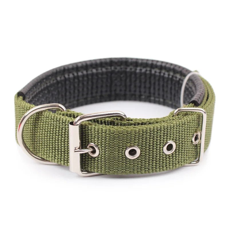 Collier pour Chien : Confort et Sécurité pour Tous les Compagnons à Quatre Pattes - Palaiscanin