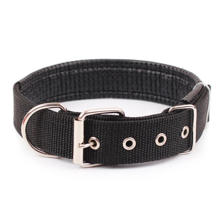 Collier pour Chien : Confort et Sécurité pour Tous les Compagnons à Quatre Pattes - Palaiscanin