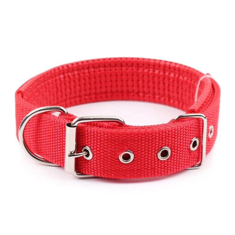 Collier pour Chien : Confort et Sécurité pour Tous les Compagnons à Quatre Pattes - Palaiscanin