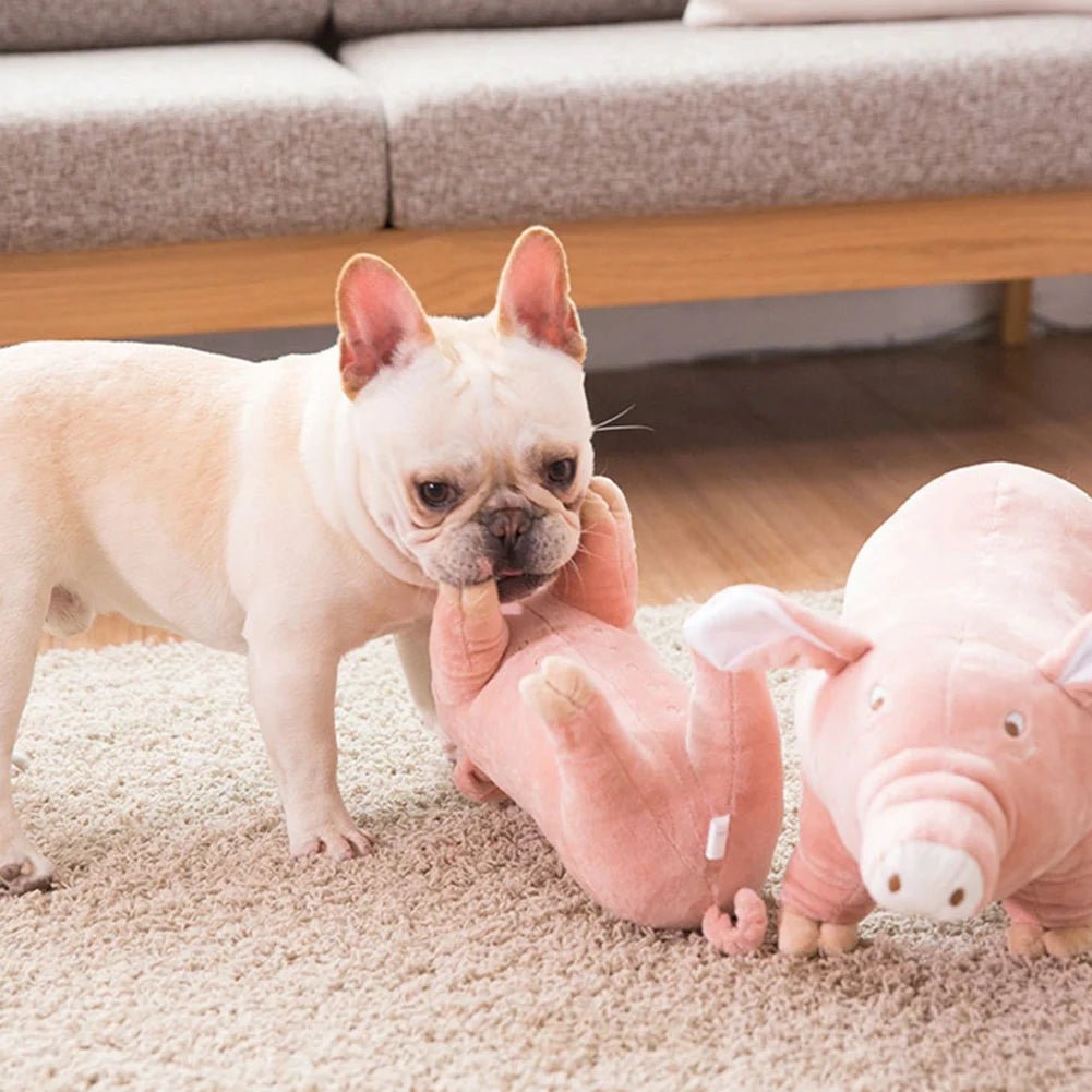 Peluche Cochonou : Le Jouet Anti - Stress Ultime pour Votre Chien - Palaiscanin