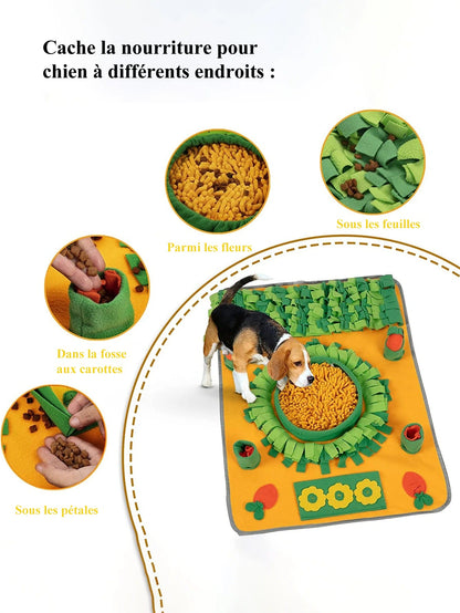 Information Tapis de Fouille - BigMax™ - Le Palais Canin