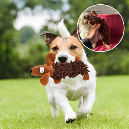 Petit chien avec peluche pour chien (CarpetPet™) Palais Canin