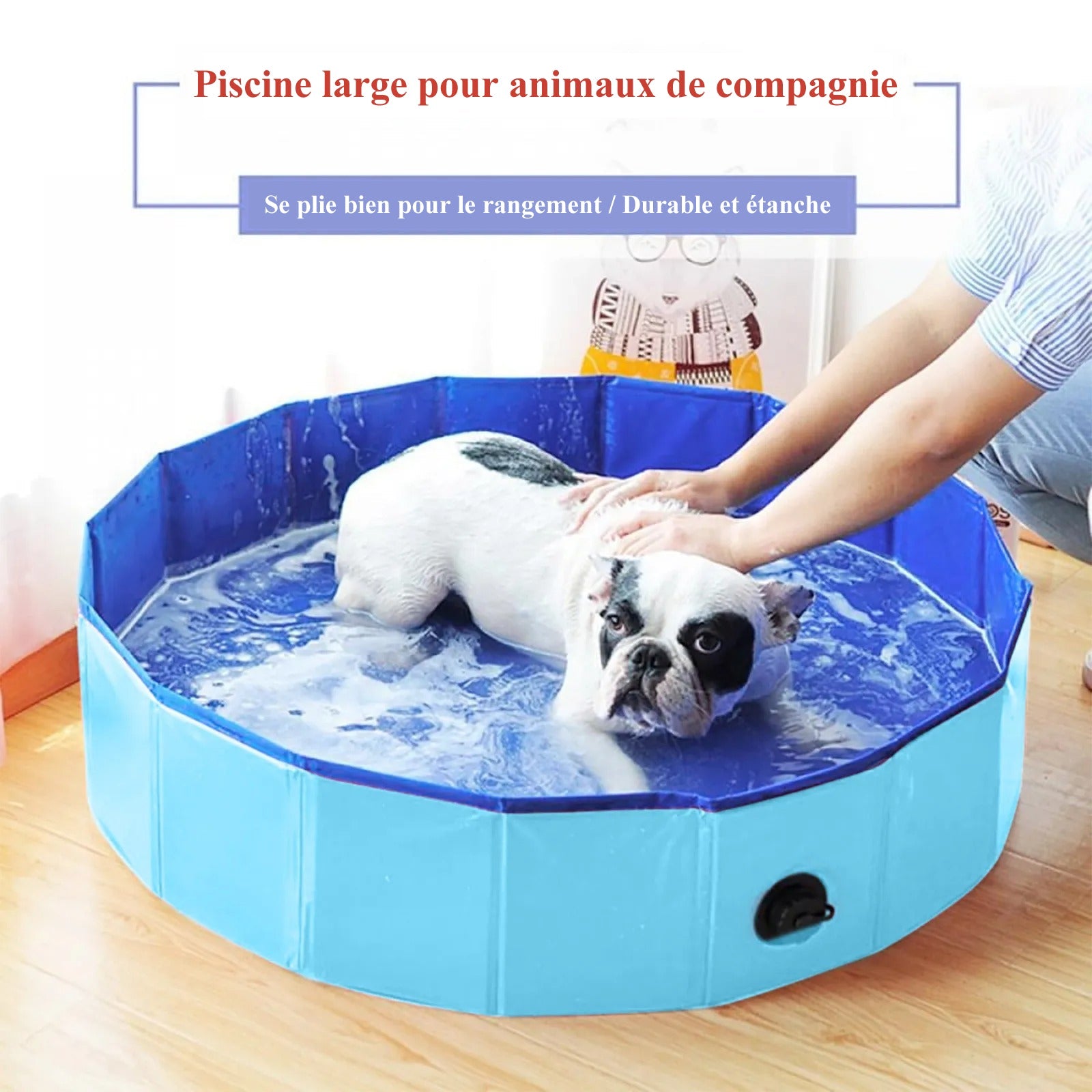 Piscine pour laver chien (HolyPool™) Palais Canin