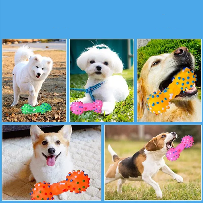 Plusieurs chien avec jouet - SuperSqueaker