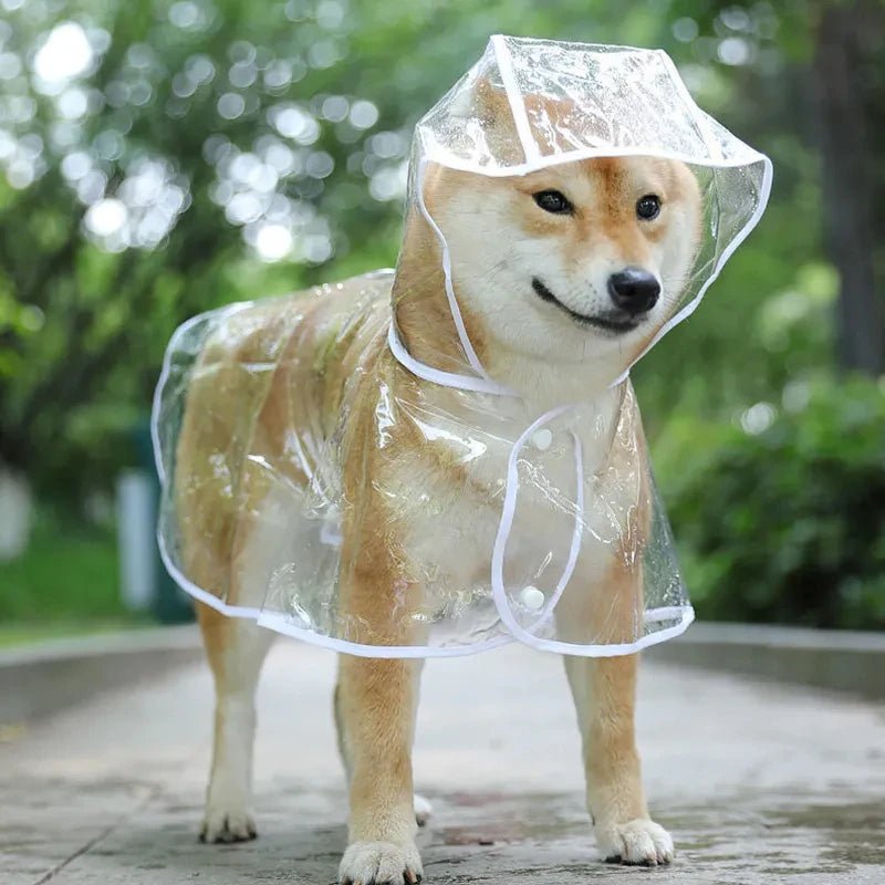 Imperméable Pancho Transparent pour Chien : La Protection Ultime contre la Pluie - Palaiscanin