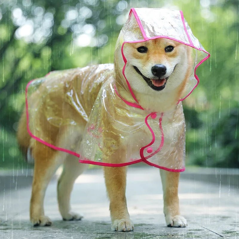 Imperméable Pancho Transparent pour Chien : La Protection Ultime contre la Pluie - Palaiscanin