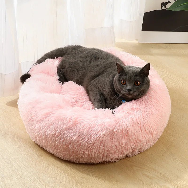 COUSSIN LIT DOUX - Dolcenight™ - Palaiscanin