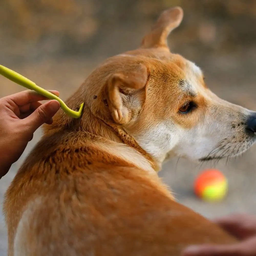 Pince à Tique Hottic : L'Outil Indispensable pour la Protection de Vos Animaux - Palaiscanin