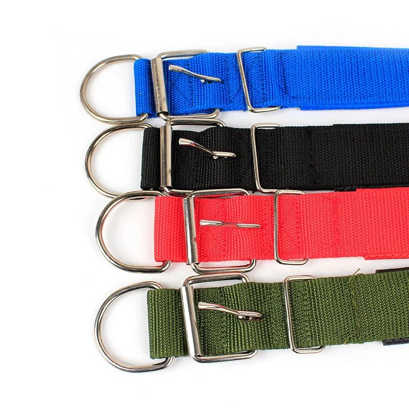 Collier pour Chien : Confort et Sécurité pour Tous les Compagnons à Quatre Pattes - Palaiscanin