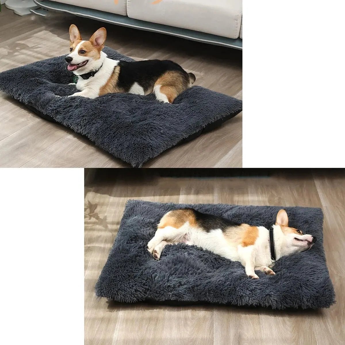 COUSSIN POUR CHIEN - Palaiscanin