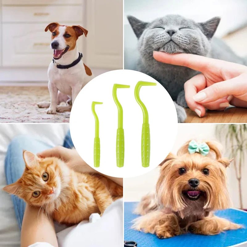 Pince à Tique Hottic : L'Outil Indispensable pour la Protection de Vos Animaux - Palaiscanin