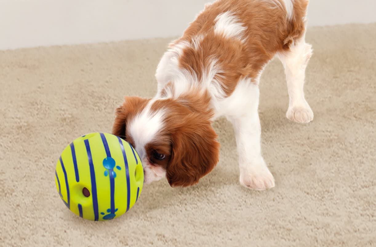 Dringball™ | Balle Interactif Épanouissante et Destressante pour Animaux - Palaiscanin