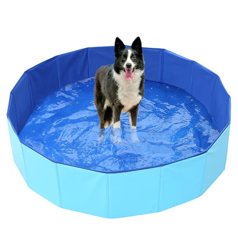 PISCINE POUR CHIEN - Aquadog - Palaiscanin