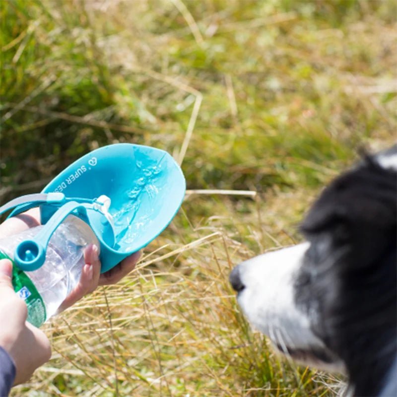 GOURDE POUR CHIEN - Palaiscanin