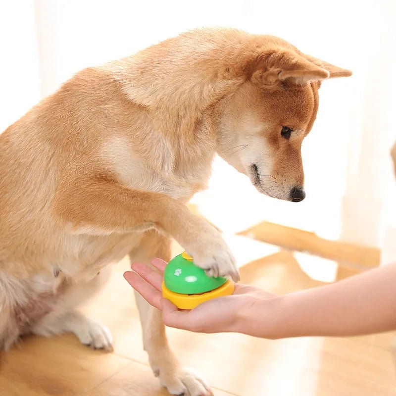 Formation instantanée canine | Dringbell™ novateur  - Palaiscanin