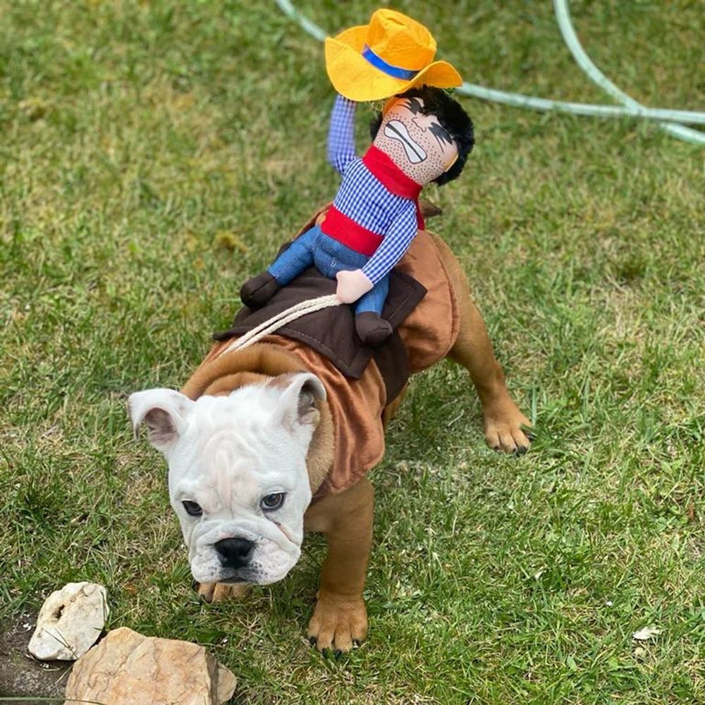 Costume Halloween Cowboy pour Chien : Transformez Votre Compagnon en Héros du Far West - Palaiscanin