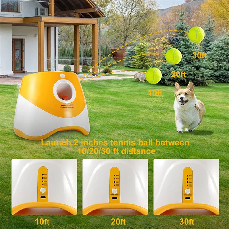 jumping ball™ - Lanceur de balle entretien la forme de votre animal - Palaiscanin