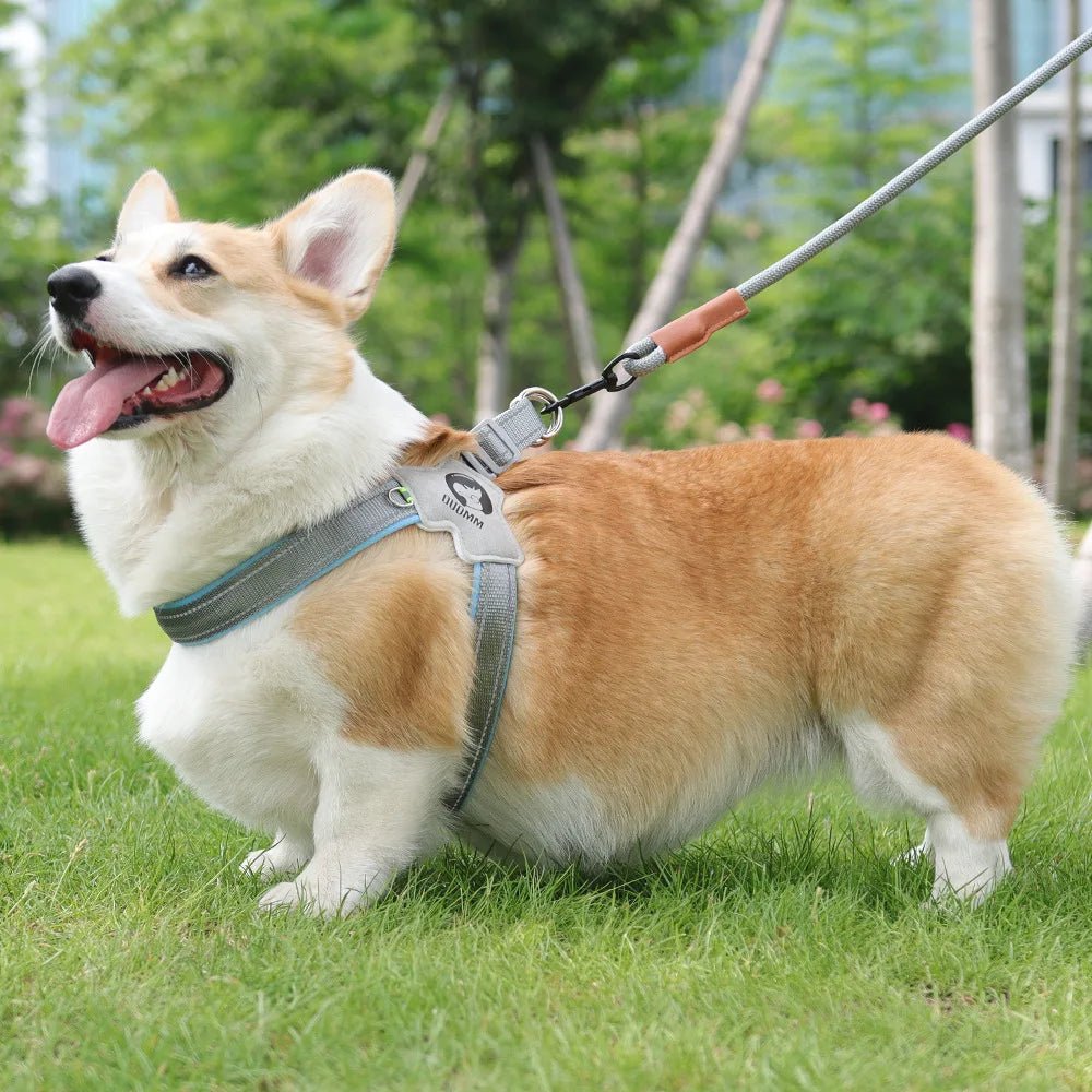 HARNAIS pour Chien : Confort et Sécurité pour Votre Compagnon à Quatre Pattes - Palaiscanin