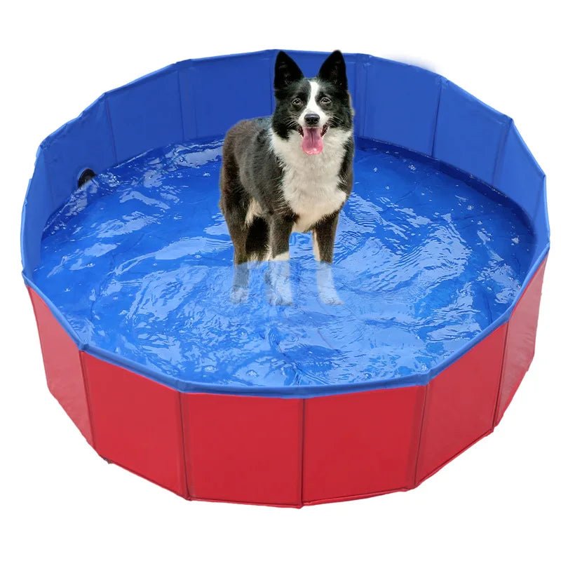 PISCINE POUR CHIEN - Aquadog - Palaiscanin