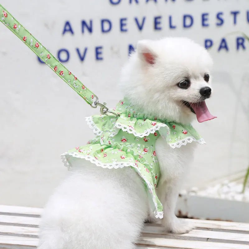 LAISSE ELEGANTE - PROMENADE CANINE - Palaiscanin