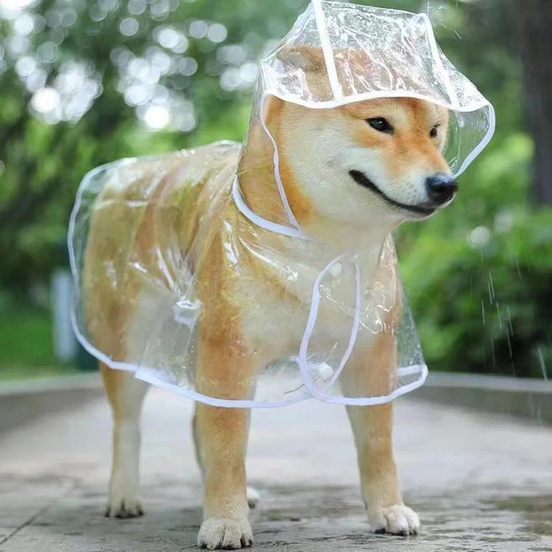 Imperméable Pancho Transparent pour Chien : La Protection Ultime contre la Pluie - Palaiscanin