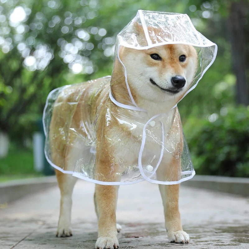 Imperméable Pancho Transparent pour Chien : La Protection Ultime contre la Pluie - Palaiscanin