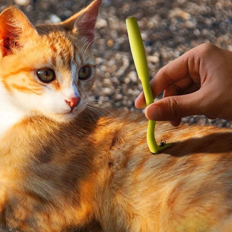 Pince à Tique Hottic : L'Outil Indispensable pour la Protection de Vos Animaux - Palaiscanin