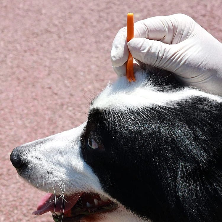 Pince à Tique Hottic : L'Outil Indispensable pour la Protection de Vos Animaux - Palaiscanin