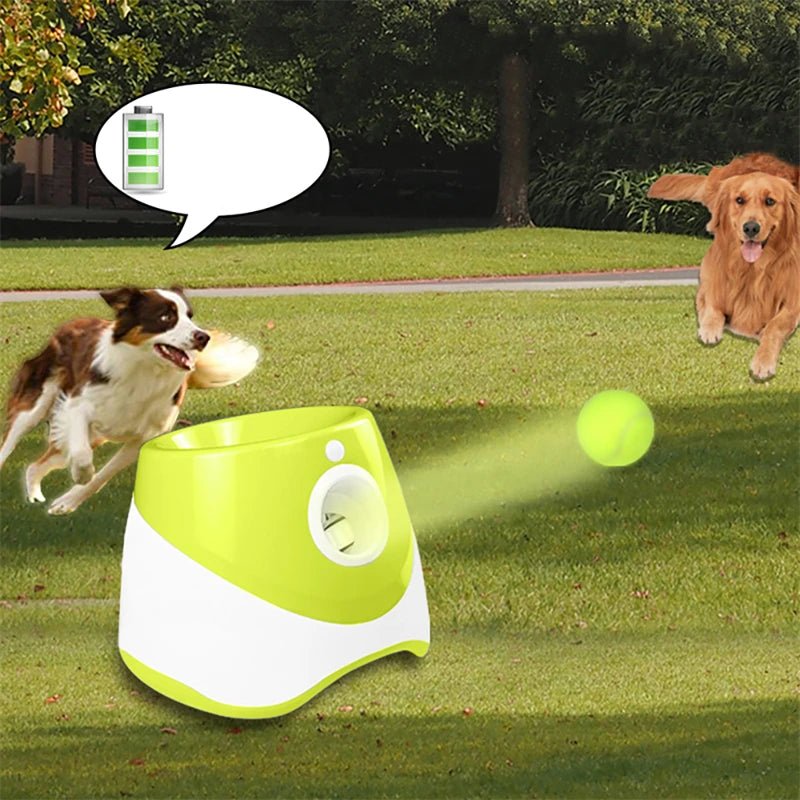 jumping ball™ - Lanceur de balle entretien la forme de votre animal - Palaiscanin