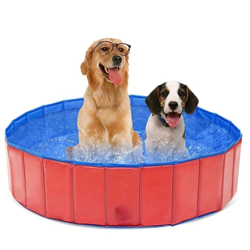 PISCINE POUR CHIEN - Aquadog - Palaiscanin