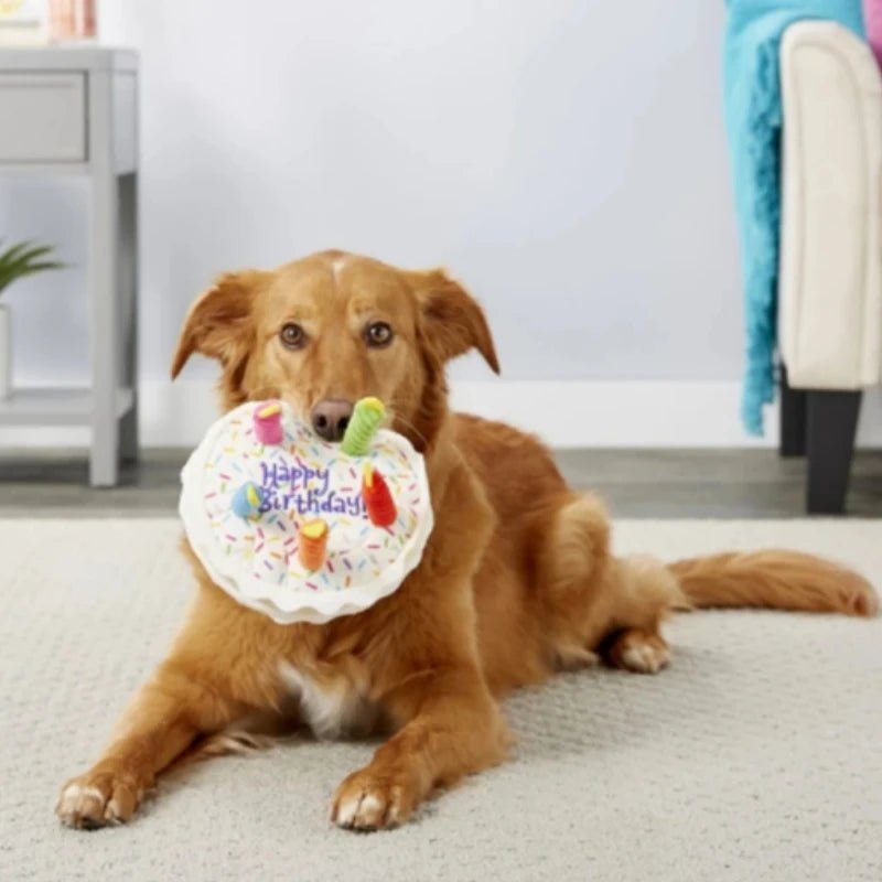 Jouet pour chien - couinday - Palaiscanin