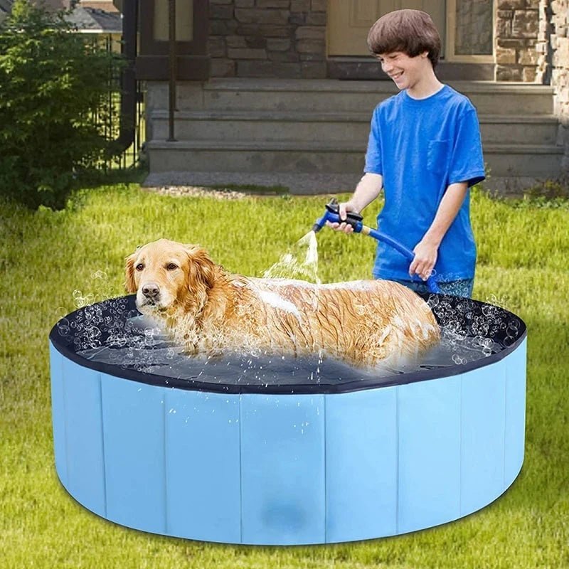 PISCINE POUR CHIEN - Aquadog - Palaiscanin