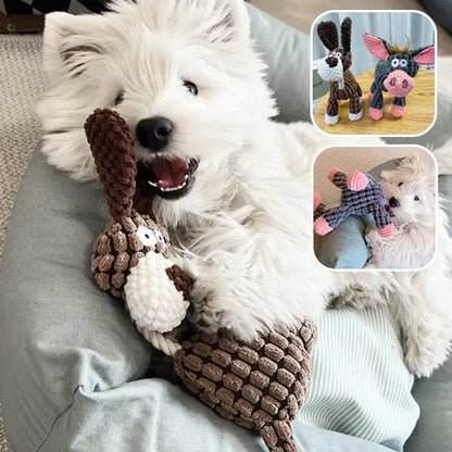 Yorkshire jouant avec peluche brun (CuriousDonkey™) Palais Canin