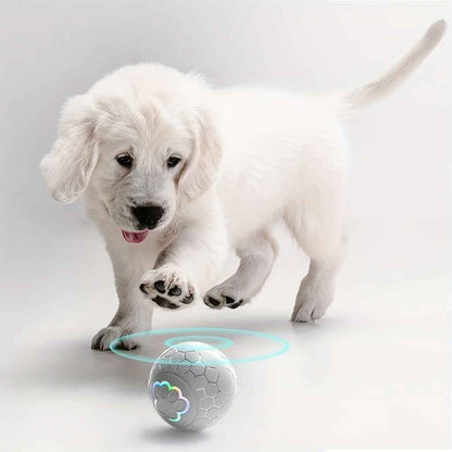 Balle pour Chien - FindBall™ - Palais Canin