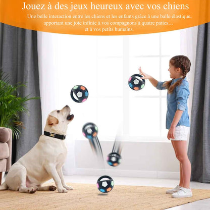 Ballon Chien - LoveFootball™ - Palais Canin