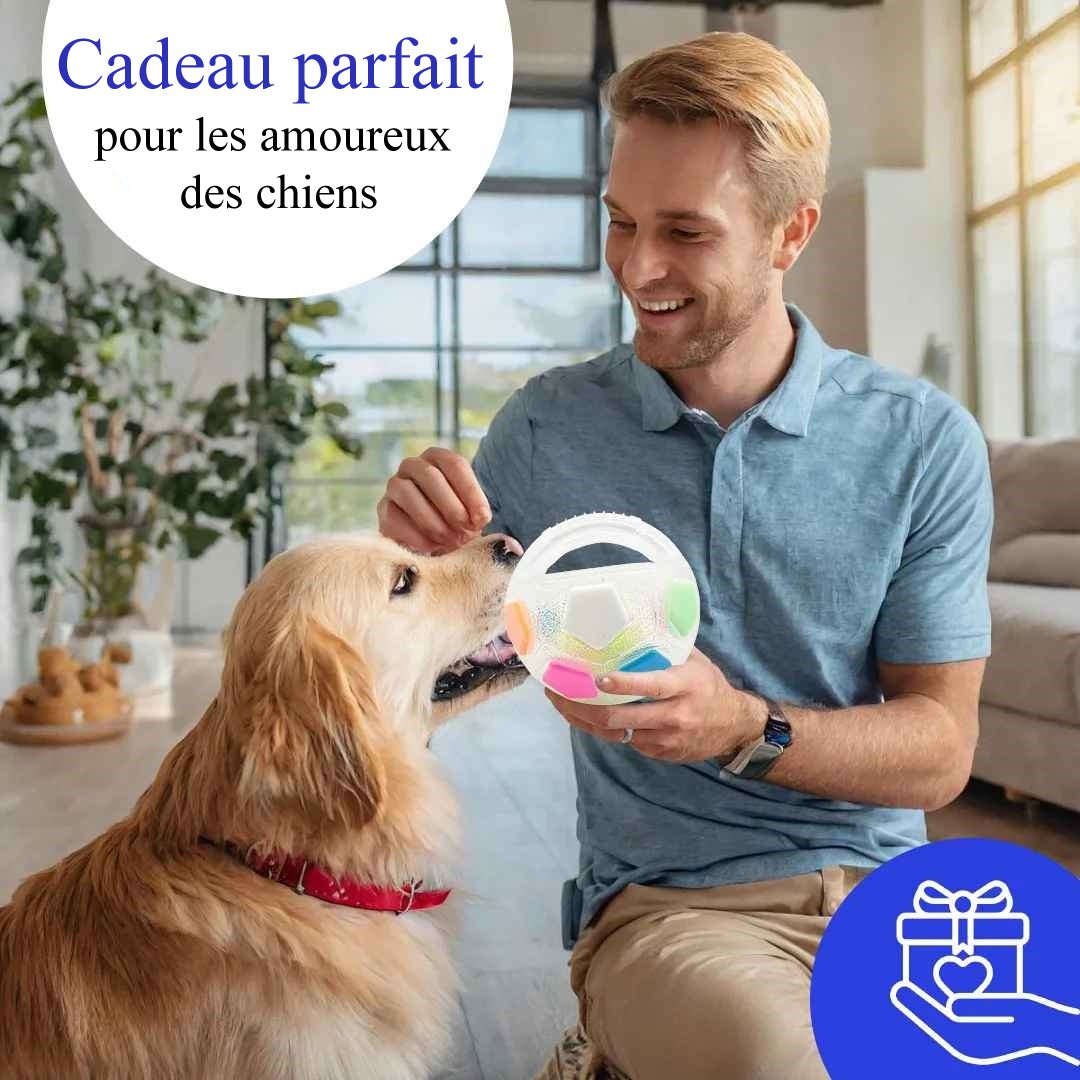 Ballon Chien - LoveFootball™ - Palais Canin