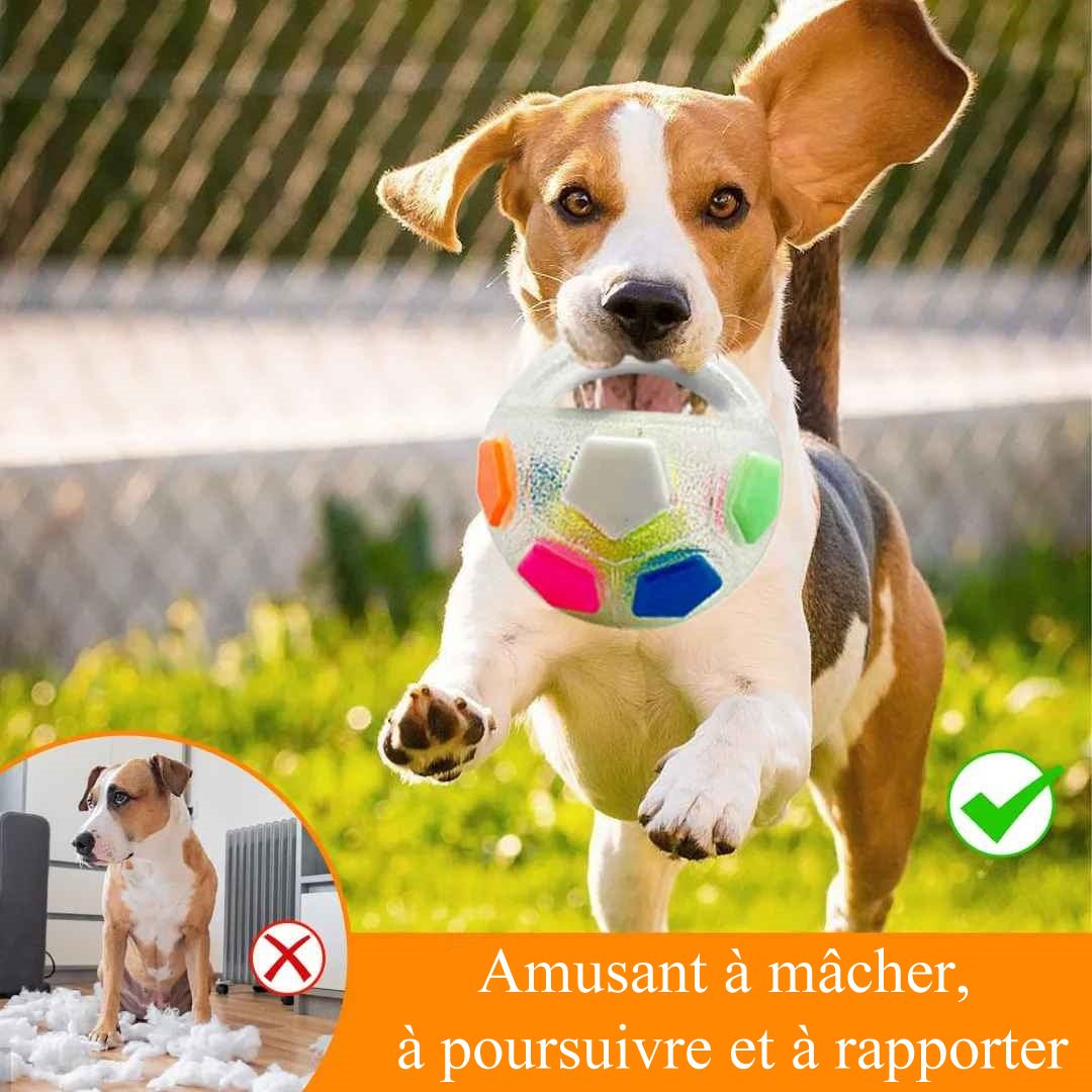 Ballon Chien - LoveFootball™ - Palais Canin