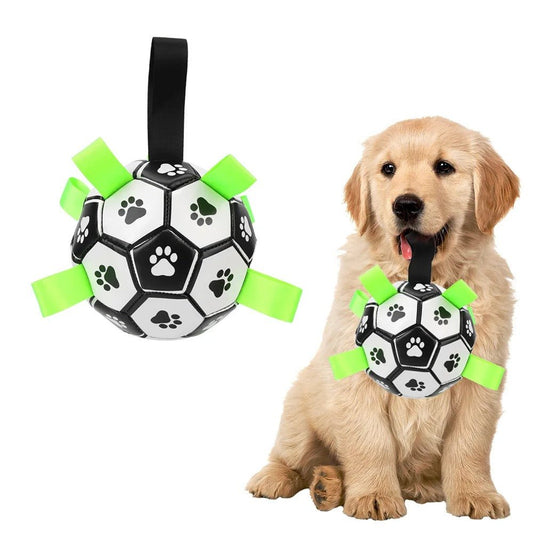 Ballon Chien - SportDog™ - Palais Canin