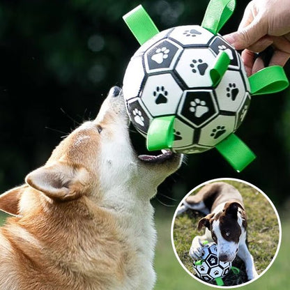 chiba mache ballon chien SportDog™ - Le Palais Canin