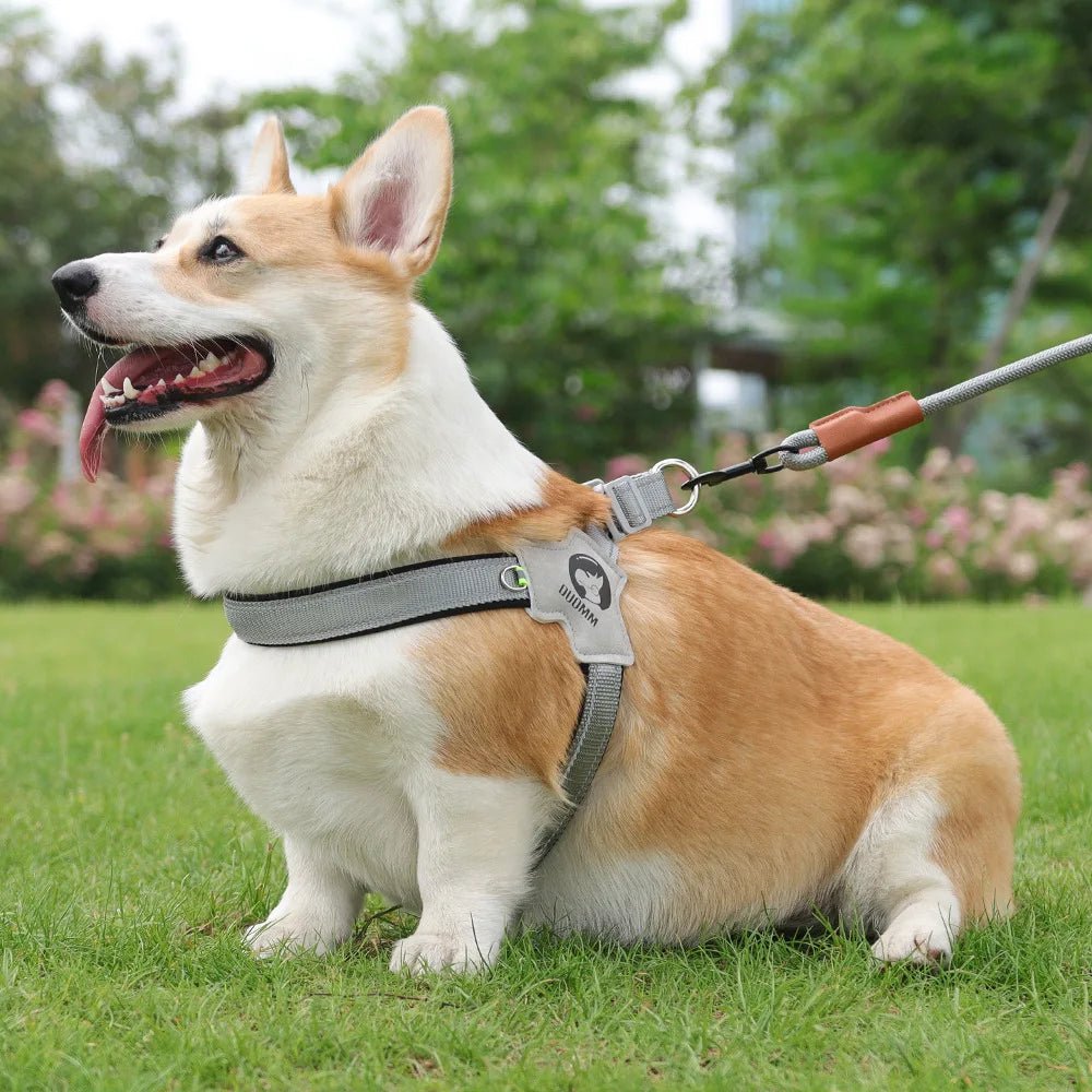 HARNAIS pour Chien : Confort et Sécurité pour Votre Compagnon à Quatre Pattes - Palaiscanin