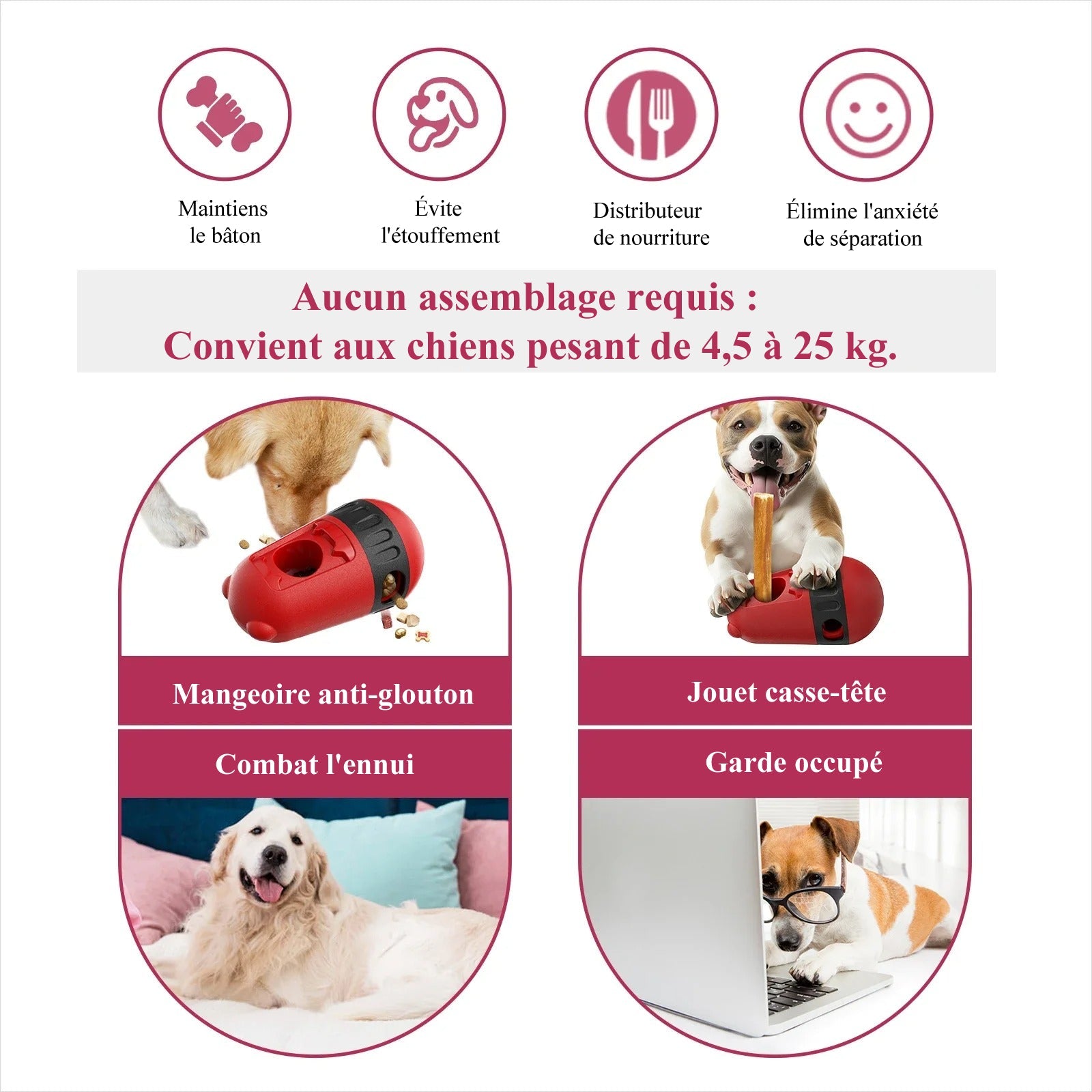 Jouet interactif pour Chien - TwoPratico™ - Le Palais Canin